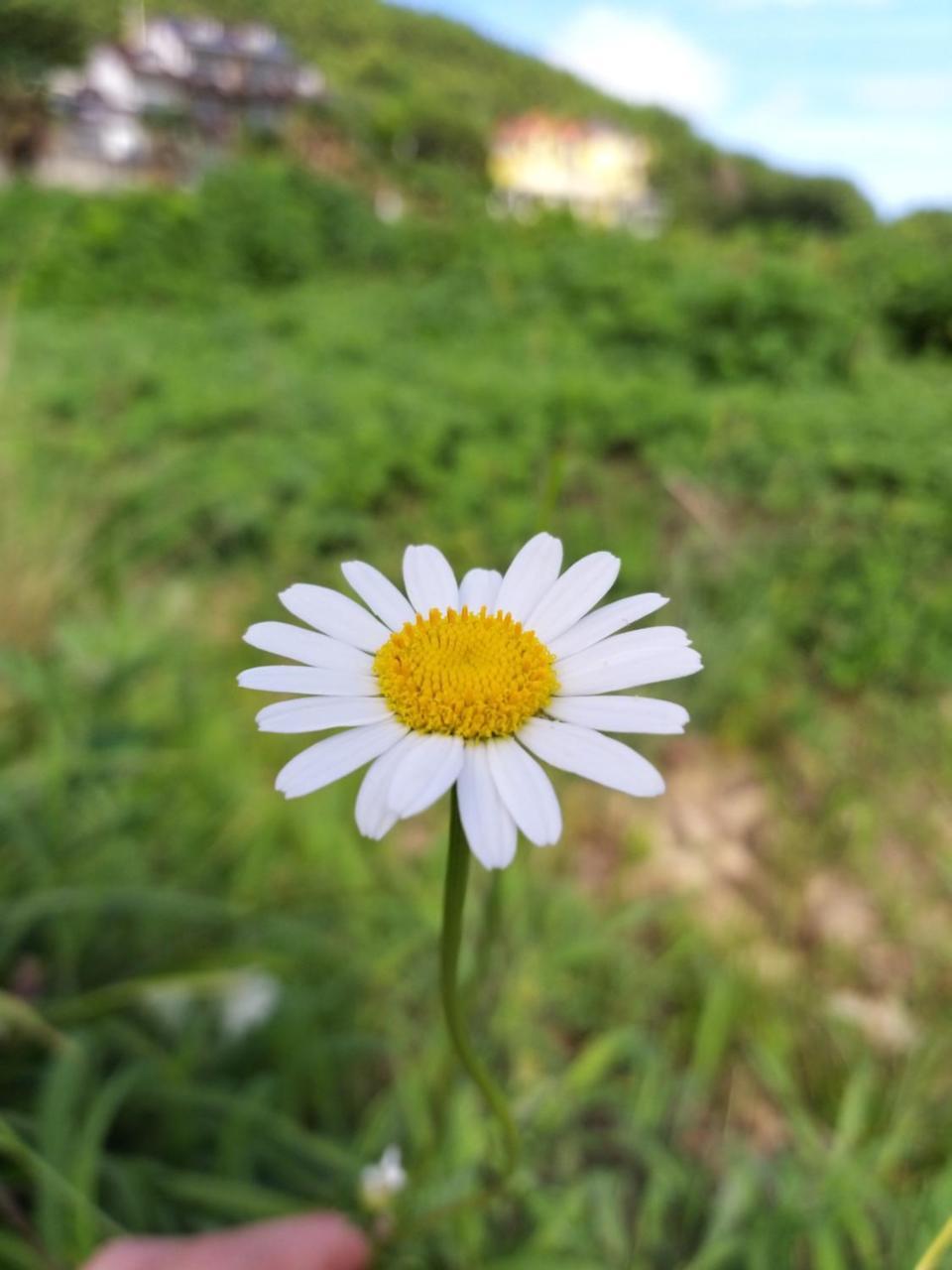 Oneday In Geoje Villa Exterior foto